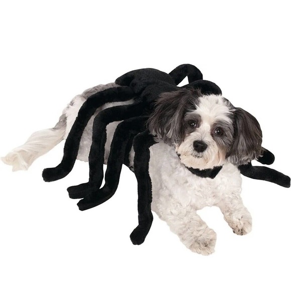 Rubie's Other - Spider Harness Insect Cute Funny Fancy Dress Up Halloween Pet Dog Costume Sz M